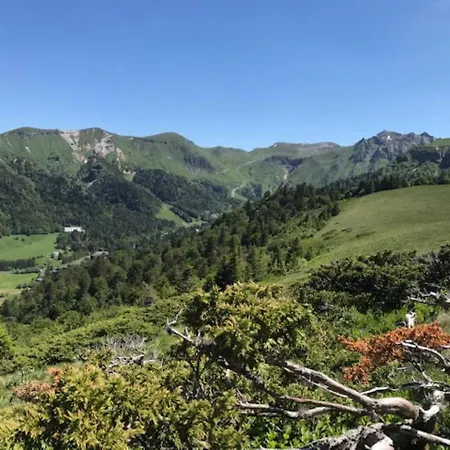 Renove Avec Balcon, Confort Et Wi-fi Au Centre De Mont-dore - Fr-1-608-105 *